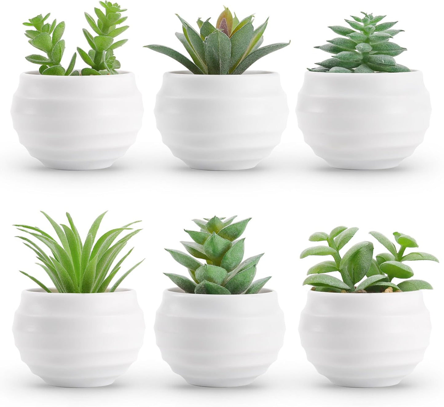 Der Rose Set of 6 Succulents Plants Artificial in Pots Smal