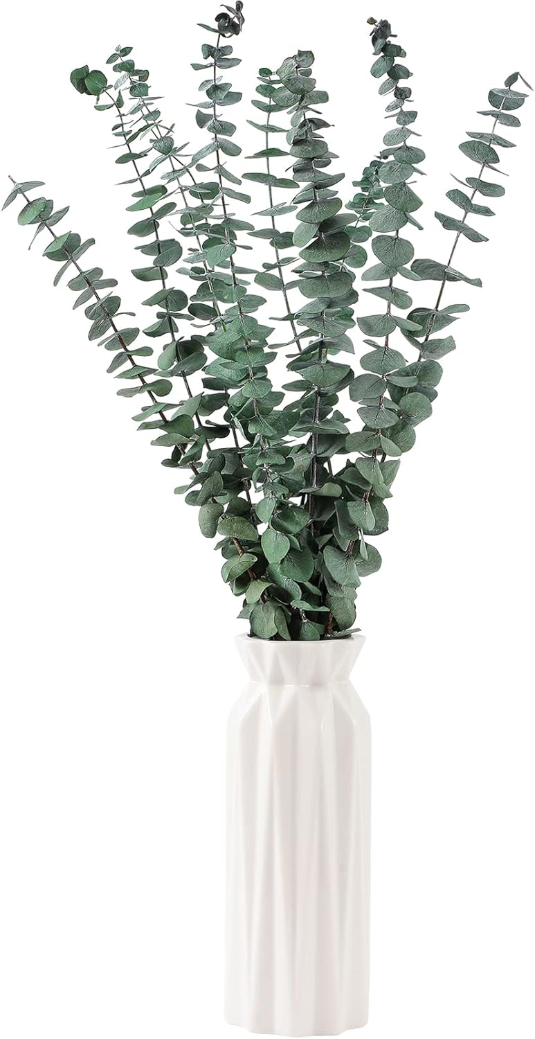 10 Pcs Dried Eucalyptus Stems 17" Real Eucalyptus for Shower Hanging