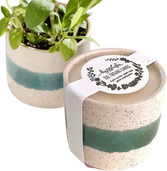 The Growing Candle, from Flame to Flower, Sandalwood & Vanilla Scented, Non-Toxic, 100% Soy Wax, Indoor Wildflower Garden, Aromatherapy Gift for Women, 8.5oz, 45-50 Hr Burn Time, Edith