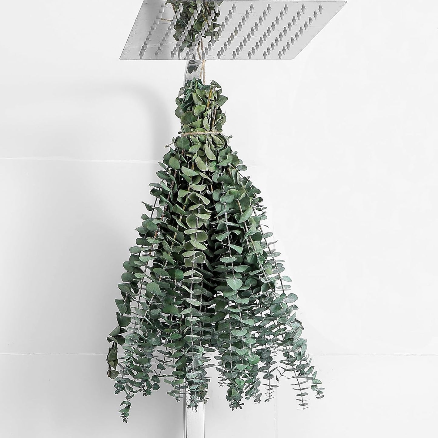 10 Pcs Dried Eucalyptus Stems 17" Real Eucalyptus for Shower Hanging
