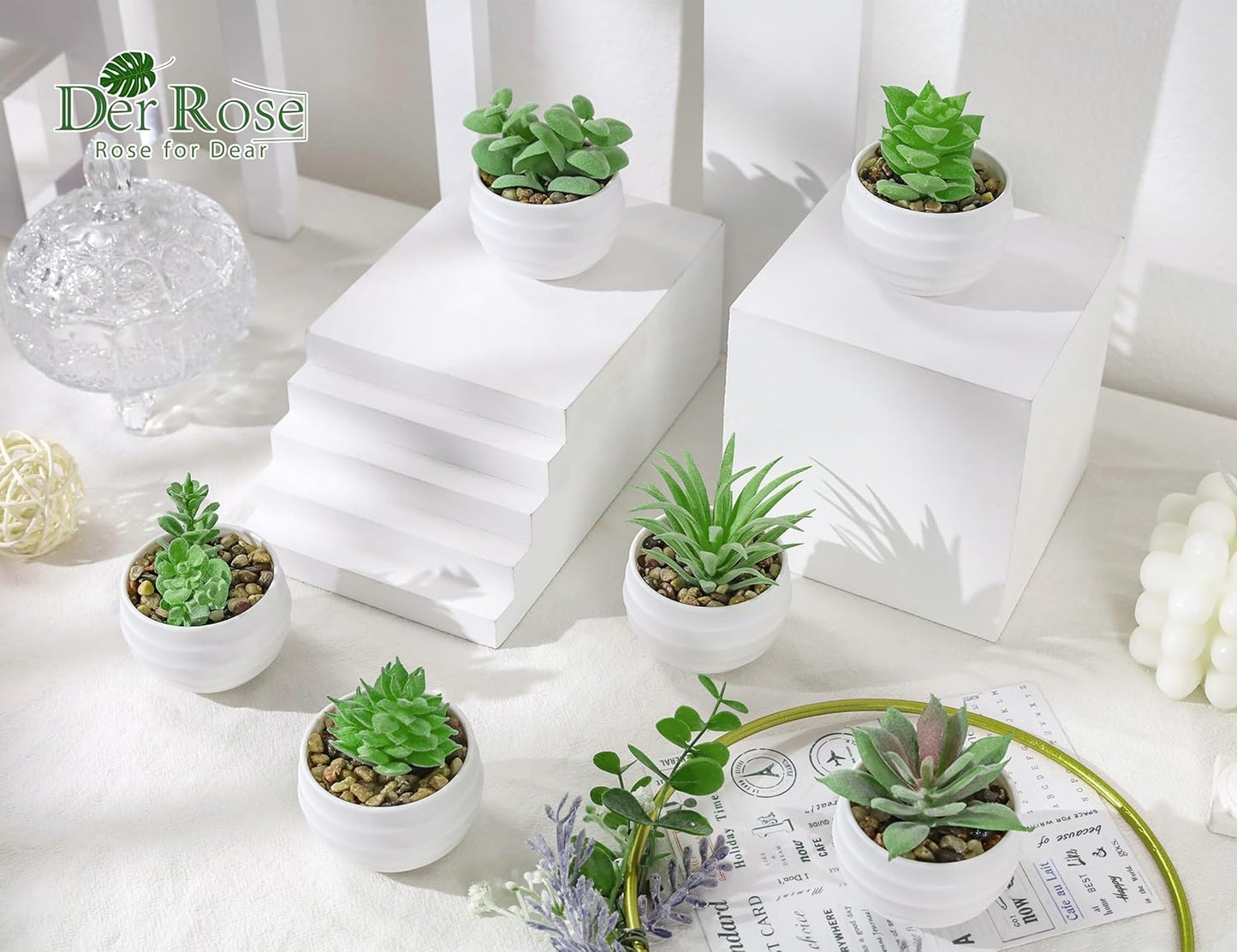 Der Rose Set of 6 Succulents Plants Artificial in Pots Smal